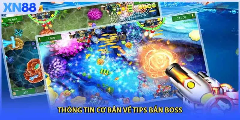 Thông tin cơ bản về tips bắn boss